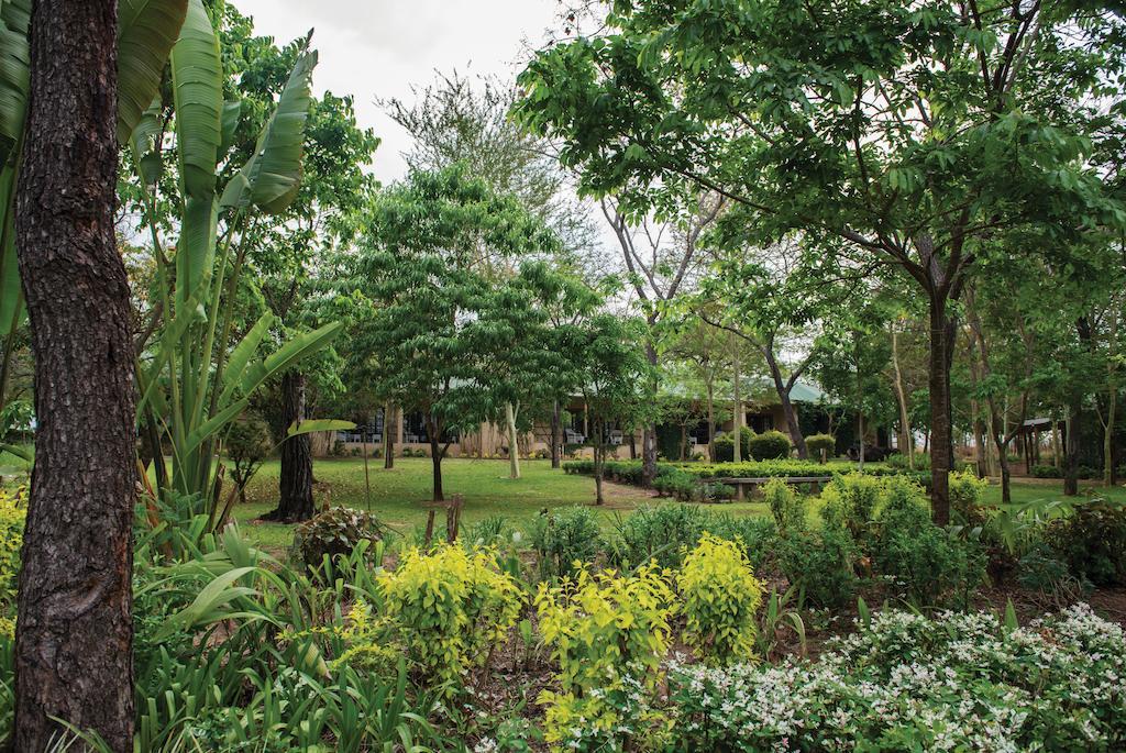 Perry'S Bridge Hollow Boutique Hotel Hazyview Luaran gambar